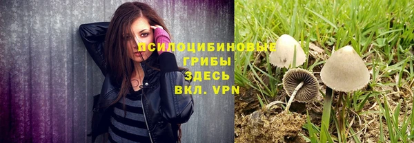 гашик Абдулино