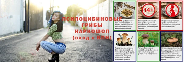 ГАЛЛЮЦИНОГЕННЫЕ ГРИБЫ Алзамай
