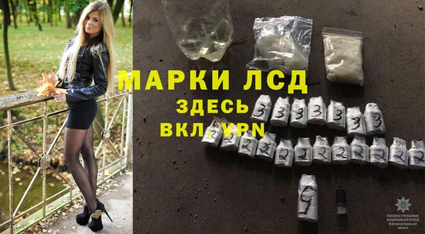 мяу мяу мука Строитель